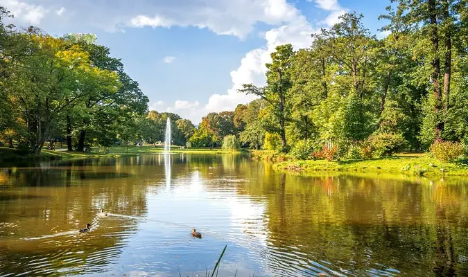 Roteiro Frankfurt, Wiesbaden, Boppard e Koblenz