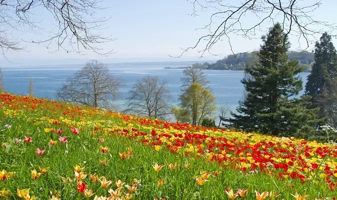 Ilha Mainau