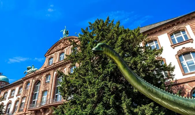 Museu de História Natural Senckenberg Foto