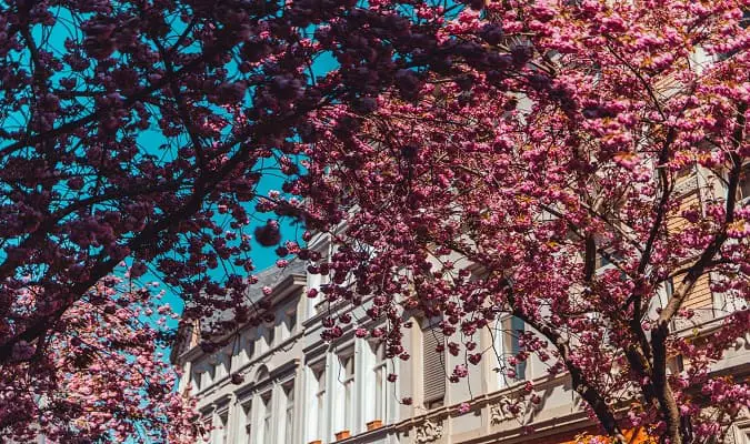 Melhores Hotéis em Bonn